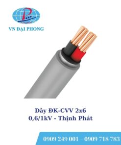 Dây cáp Thịnh Phát ĐK-CVV 2x6 - 0,6/1kV