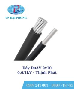 Dây cáp Thịnh Phát DuAV 2x10 - 0,6/1kV