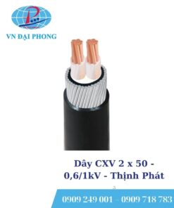 Dây cáp điện Thịnh Phát CXV 2 x 50 - 0,6/1kV