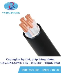 Cáp ngầm hạ thế Thịnh Phát, giáp băng nhôm CXV/DATA/PVC 185 - 0,6/1kV