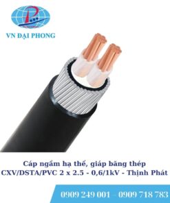 Cáp ngầm hạ thế Thịnh Phát, giáp băng thép CXV/DSTA/PVC 2 x 2.5 - 0,6/1kV