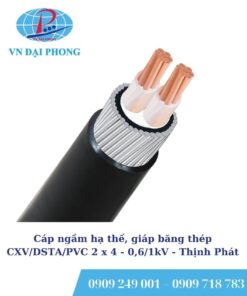 Cáp ngầm hạ thế Thịnh Phát, giáp băng thép CXV/DSTA/PVC 2 x 4 - 0,6/1kV