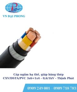 Cáp ngầm hạ thế Thịnh Phát, giáp băng thép CXV/DSTA/PVC 3x6+1x4 - 0,6/1kV