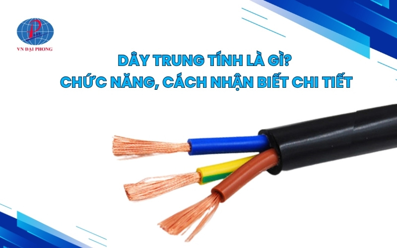 Dây trung tính là gì? Chức năng, cách nhận biết chi tiết